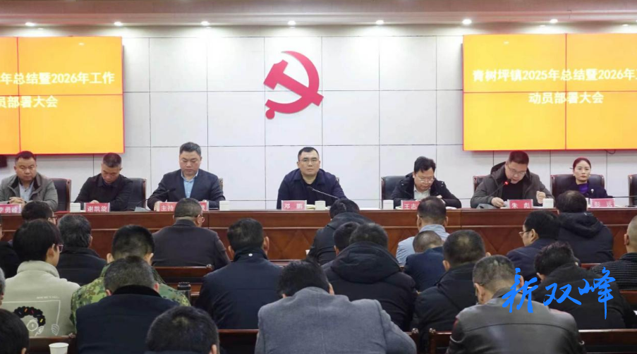 青树坪镇：科学谋划马年高质量发展新篇章