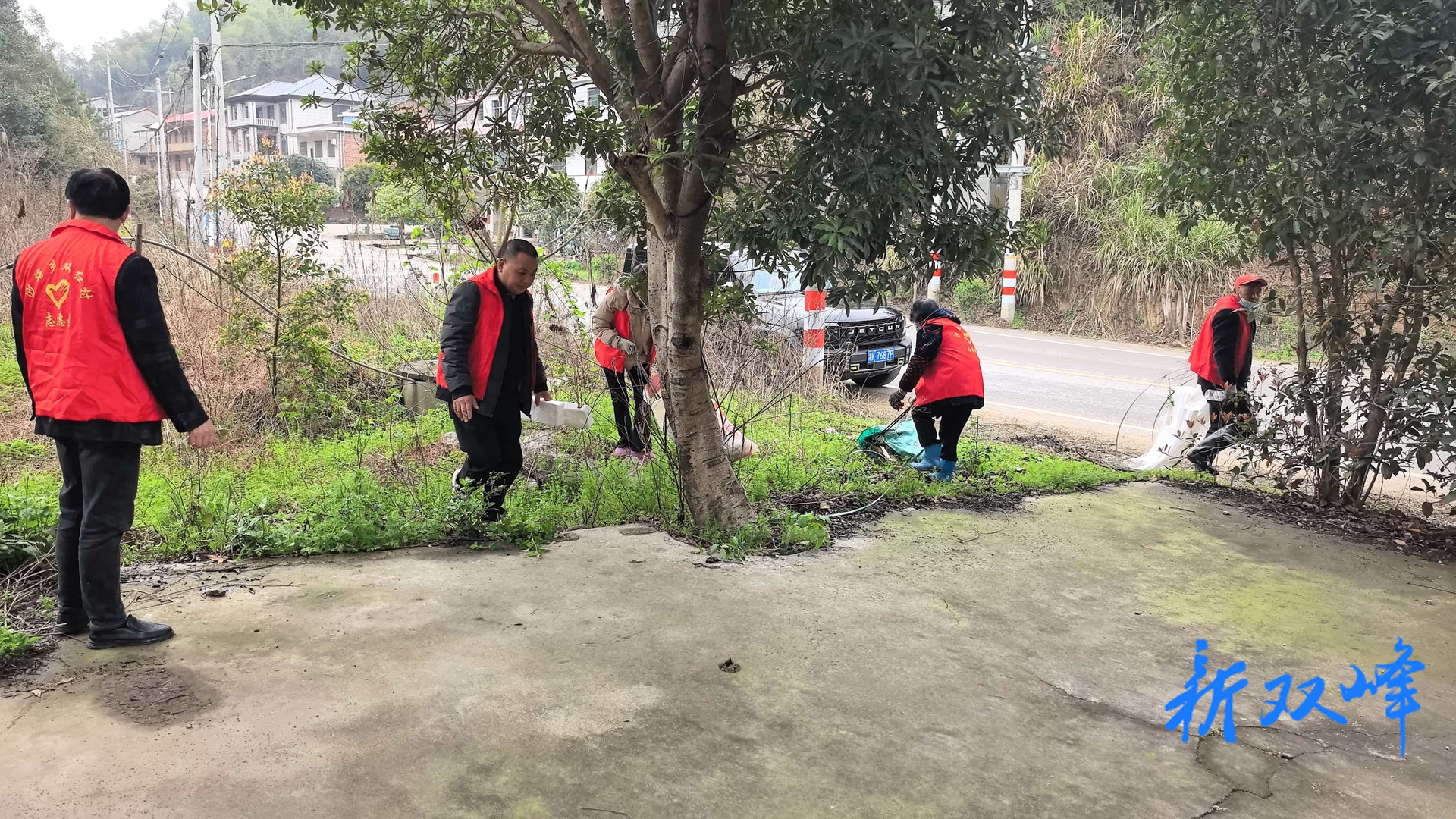 沙塘乡双红村：清除杂草美环境 凝心聚力换新颜