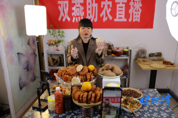 杏子铺镇有 “燕” 才 直播带货兴乡村