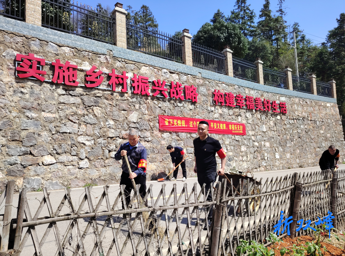 杏子铺镇合心村：人居环境“细梳妆” 和美乡村“入画来”