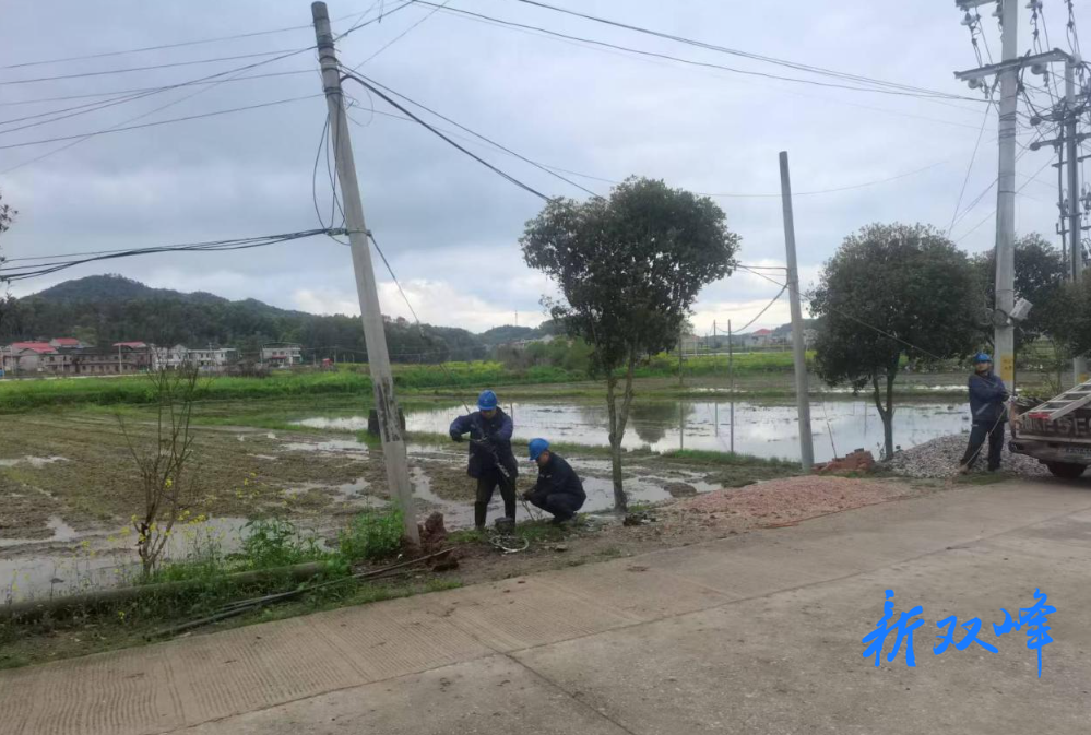 洪山殿镇人大：督办建议加速办，春耕生产乐无忧