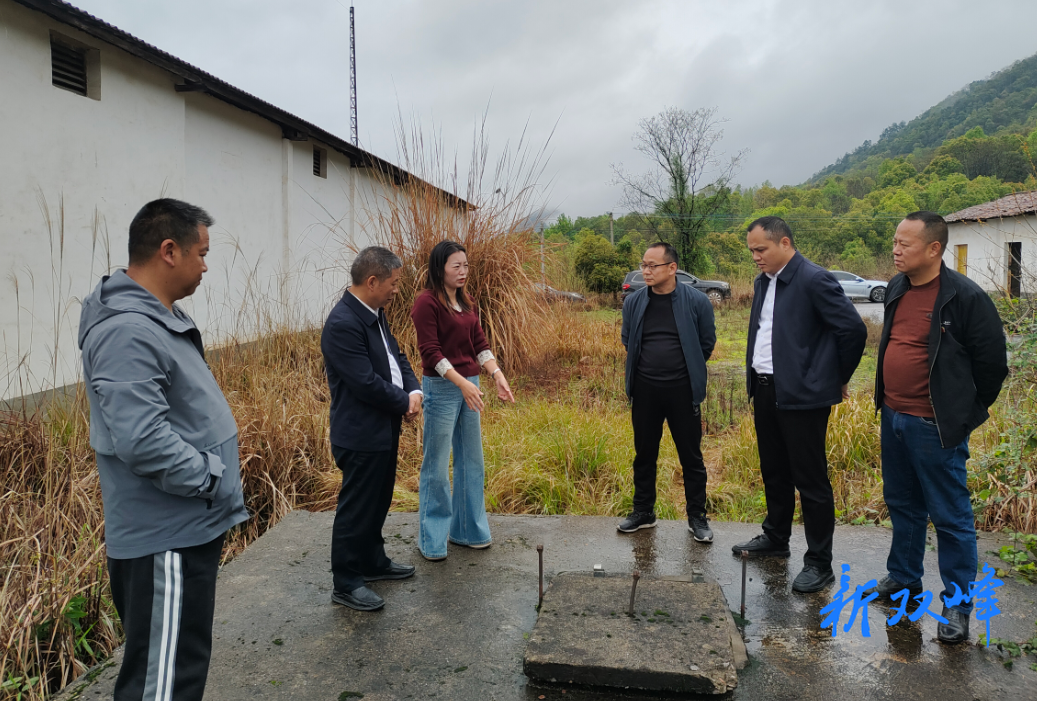 走马街镇政协：守护水源地 筑牢民生饮水安全线
