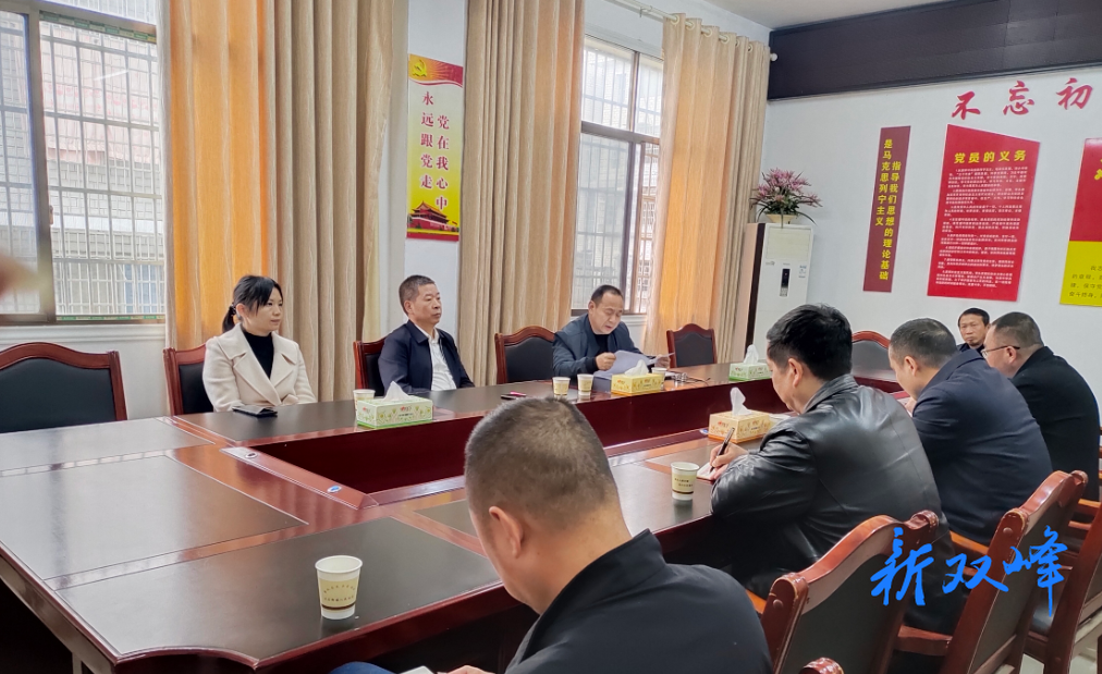 双峰县政协赴走马街镇专项监督 筑牢安全生产与生态安全防线