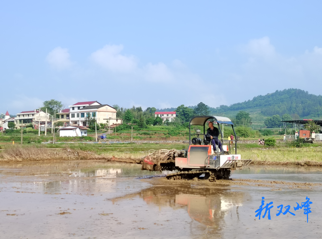 杏子铺镇：党旗红辉映春耕绿 沃野田畴绘丰景