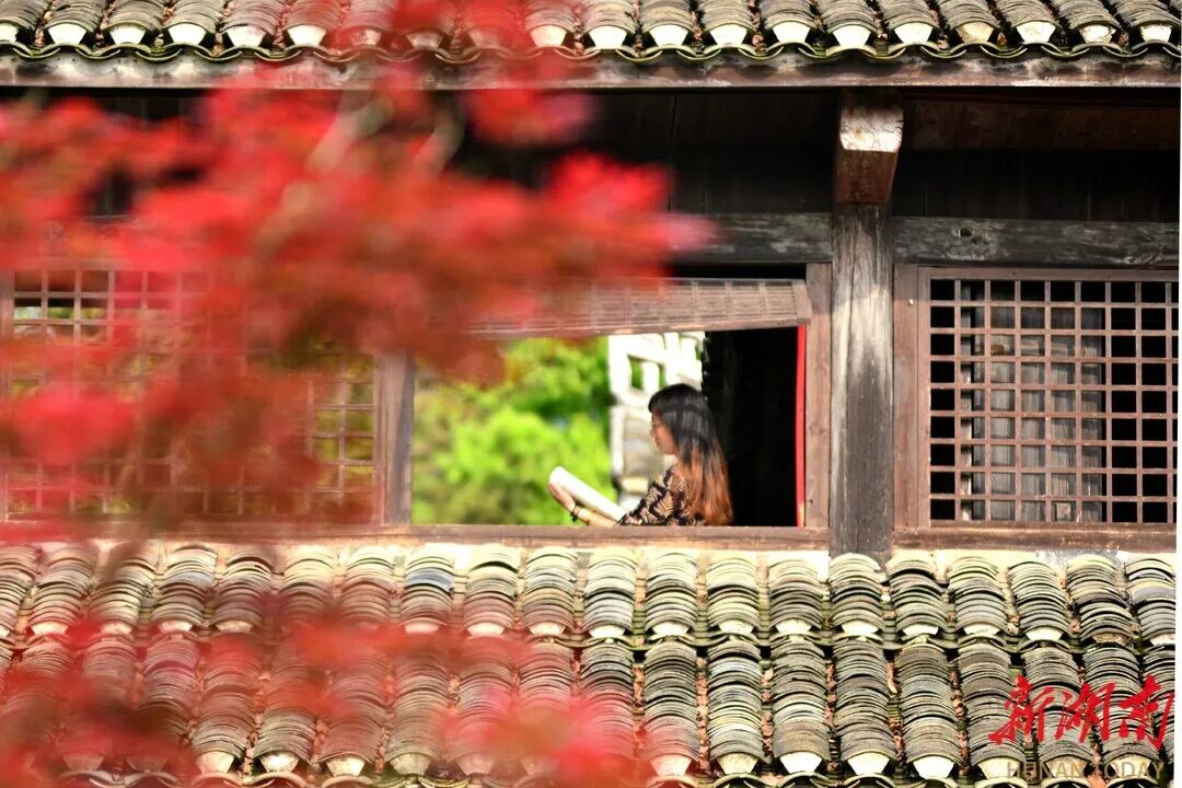 耕读传家续新篇——双峰县全民阅读工作综述