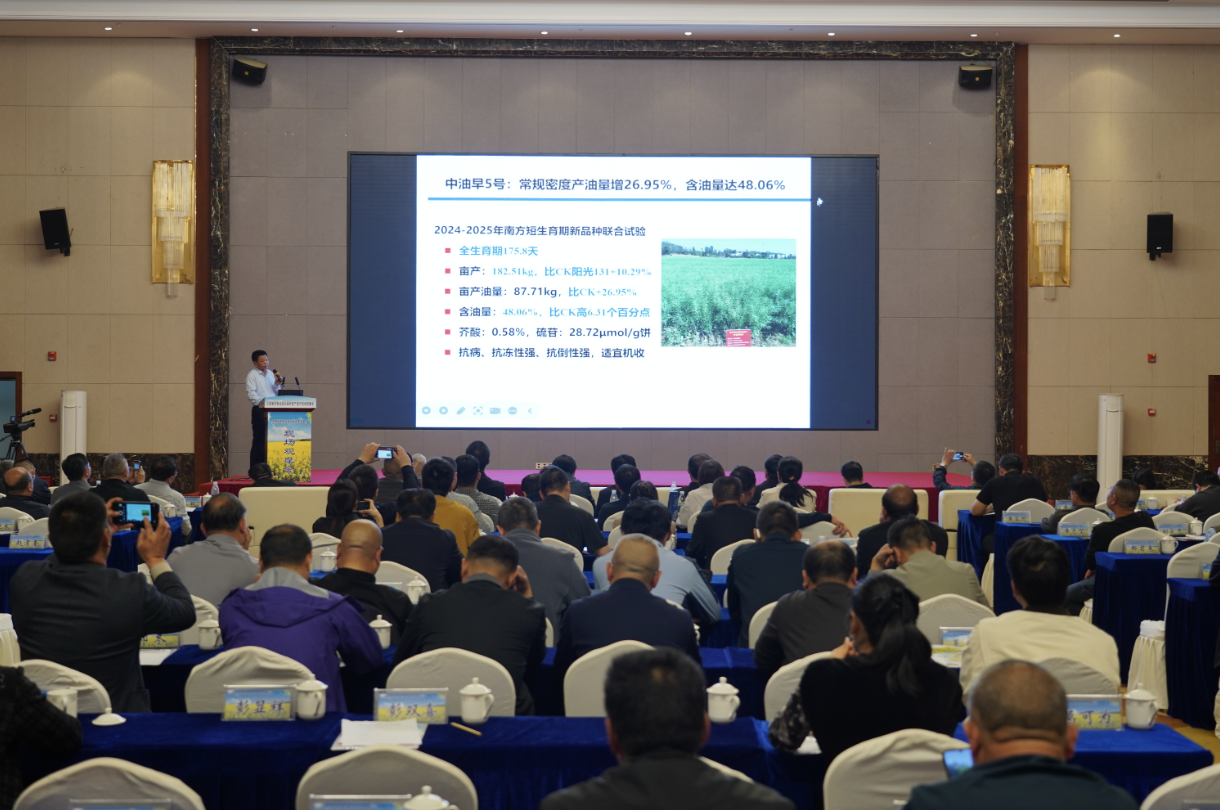 双峰：特早熟油菜“中油早1号”迎来丰收
