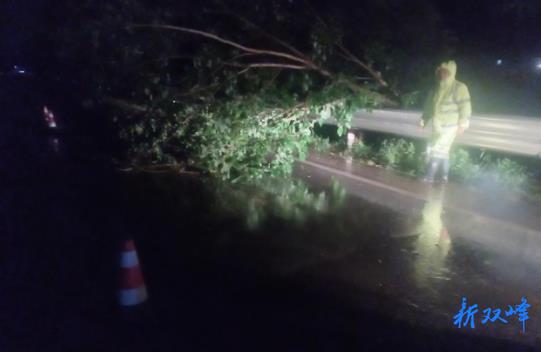闻汛而动速响应 连夜清障保畅通——双峰县公路建设养护中心高效处置G234国道大树倒伏险情