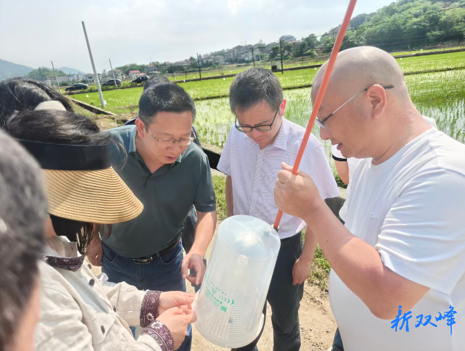 省植保站专家赴双峰督导：“虫口夺粮”保丰收