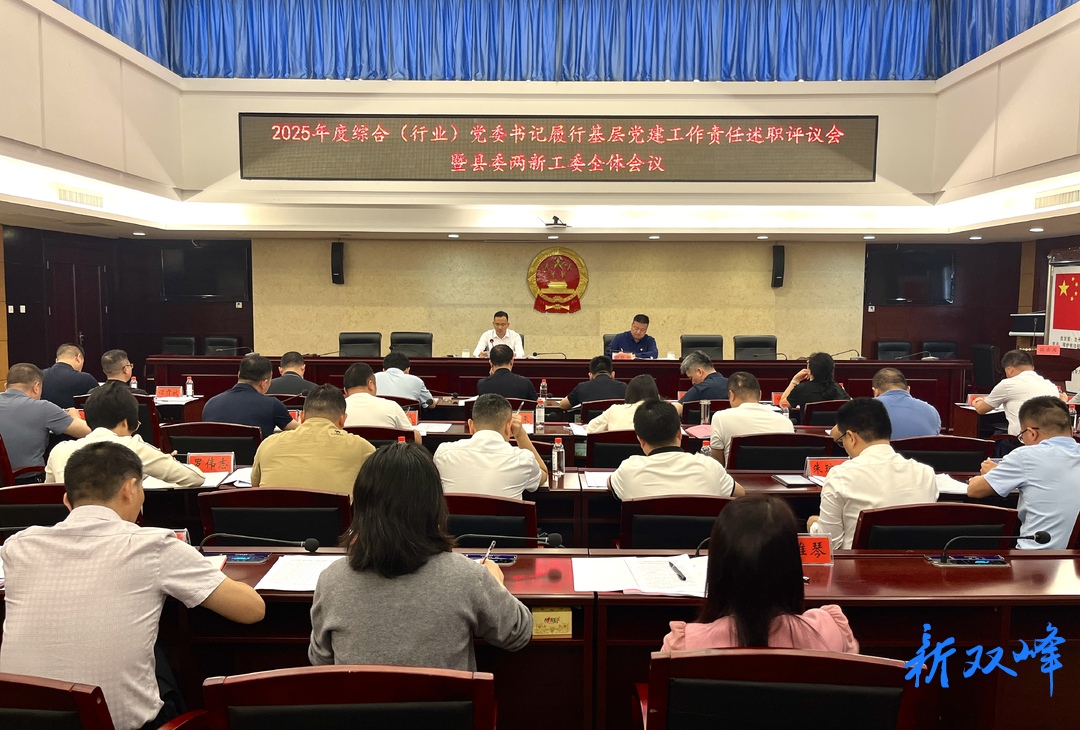 2025年度县直综合（行业）党委书记履行基层党建工作责任述职评议暨县委两新工委全体会议召开