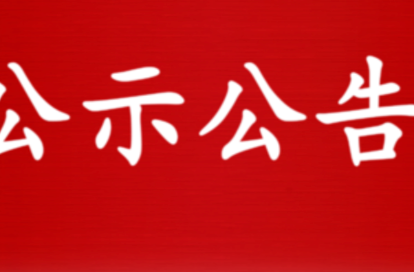娄底市委管理干部任前公示公告