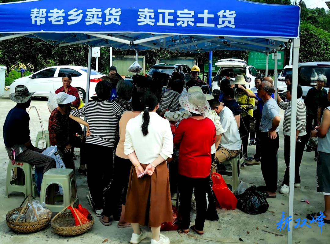 杏子铺镇  云端搭起助农桥 山乡好物进万家