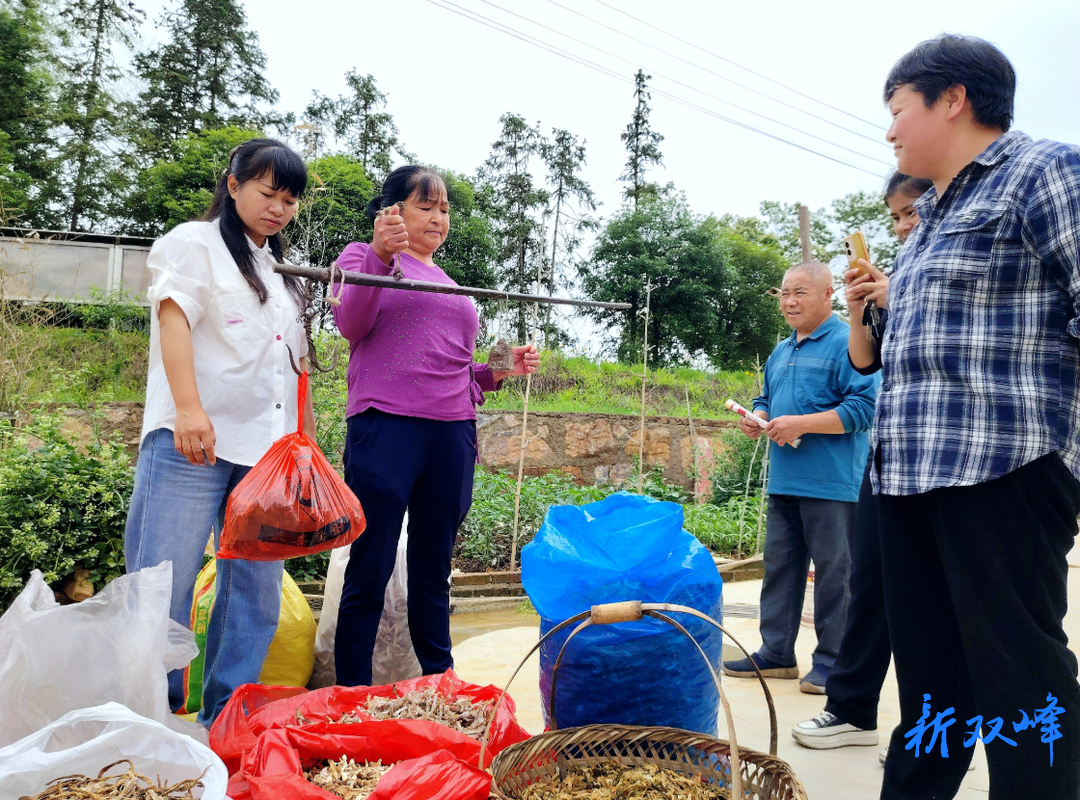 杏子铺镇：小小直播间，架起村民致富桥