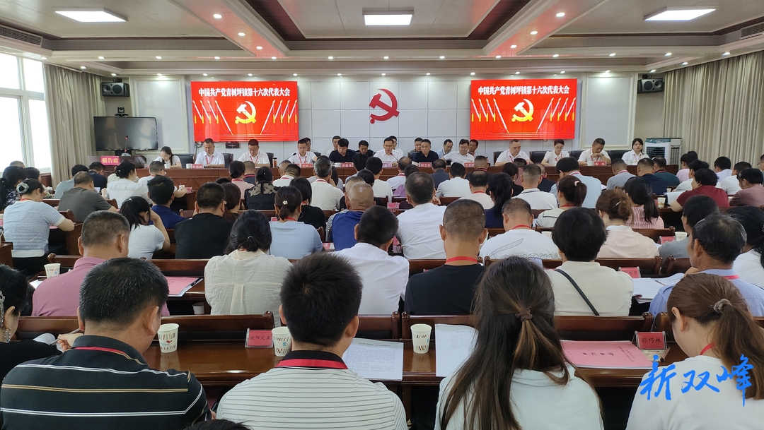 青树坪镇第十六次党代会胜利召开