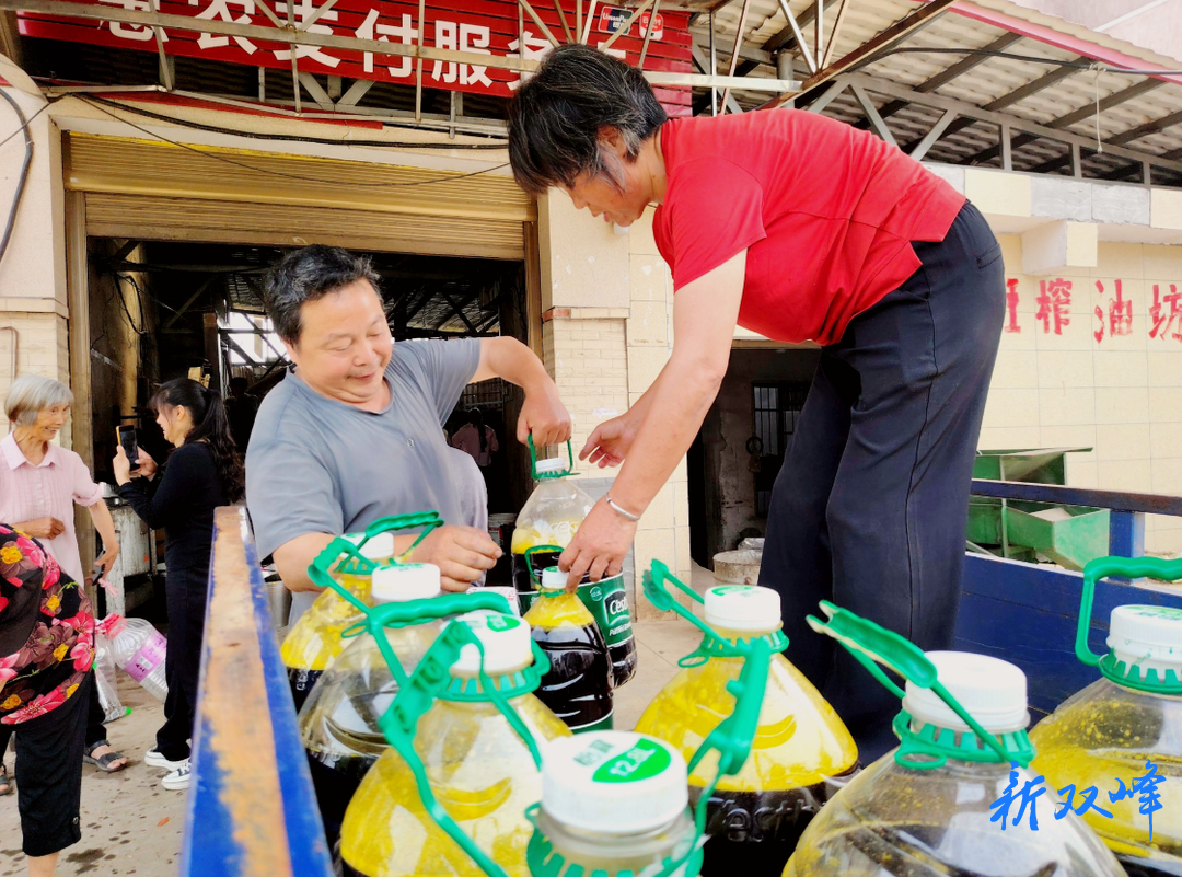 杏子铺镇：菜油香飘榨油坊 村民增收乐开怀