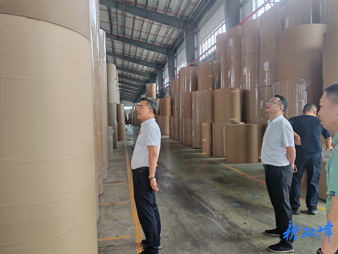 排查整治安全隐患 筑牢文化安全防线  双峰县全面开展印刷企业安全生产大排查行动