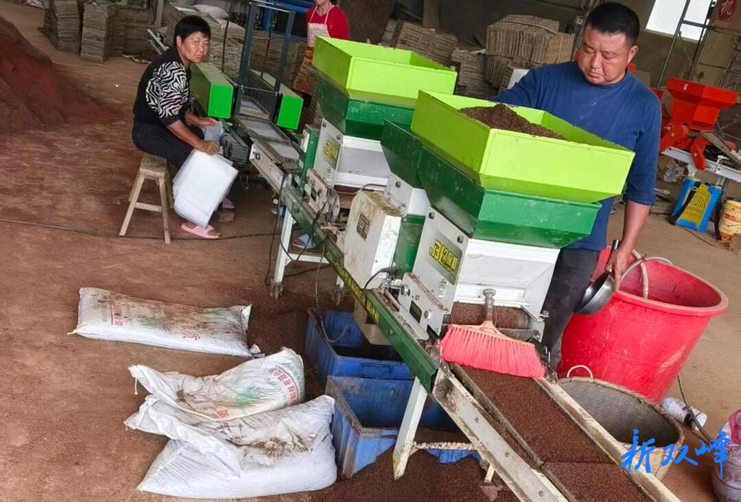 多种田多产粮  乡村振兴作贡献——记娄底市劳动模范全省种粮大户郭鹏程