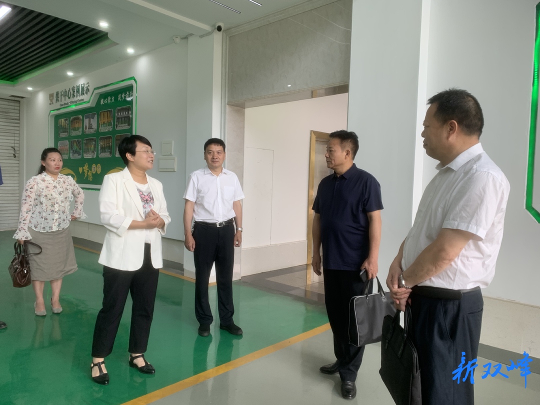老挝琅南塔省老中经济发展促进会来双峰考察农机产业发展情况