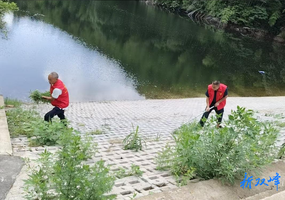 印塘乡：凡人善举聚微光 志愿服务暖乡村