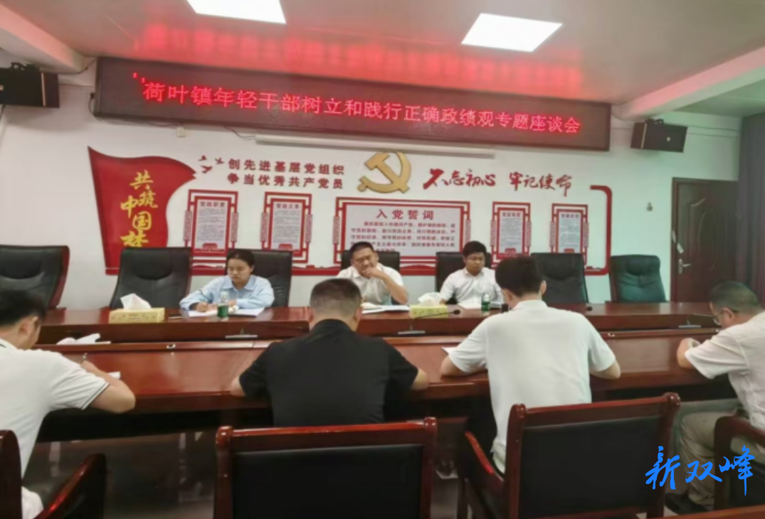 深学细悟正确政绩观 勇担基层青年新使命——荷叶镇组织年轻干部开展树立和践行正确政绩观专题座谈会