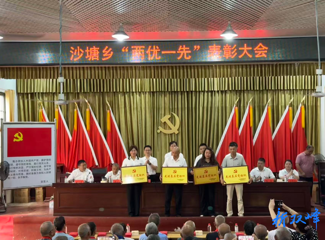沙塘乡：表彰先进树标杆 凝心聚力庆“七一”