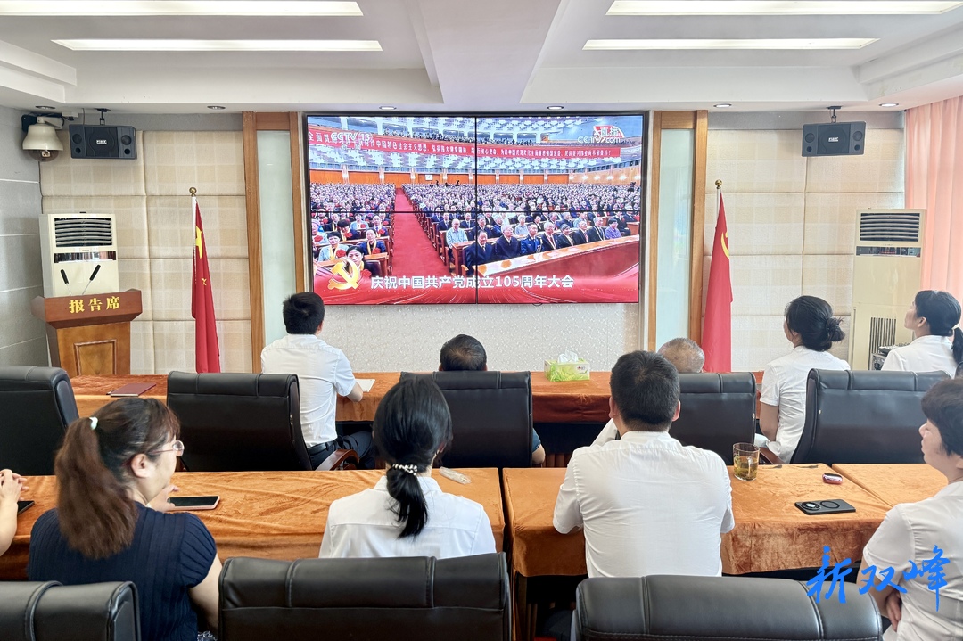 双峰县蔡和森纪念馆组织集中收听收看庆祝中国共产党成立105周年大会直播