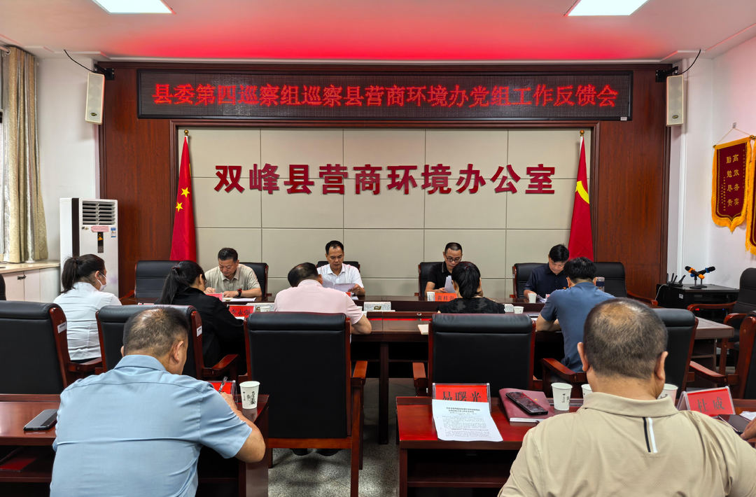 县委第四巡察组向县营商环境办党组反馈巡察情况