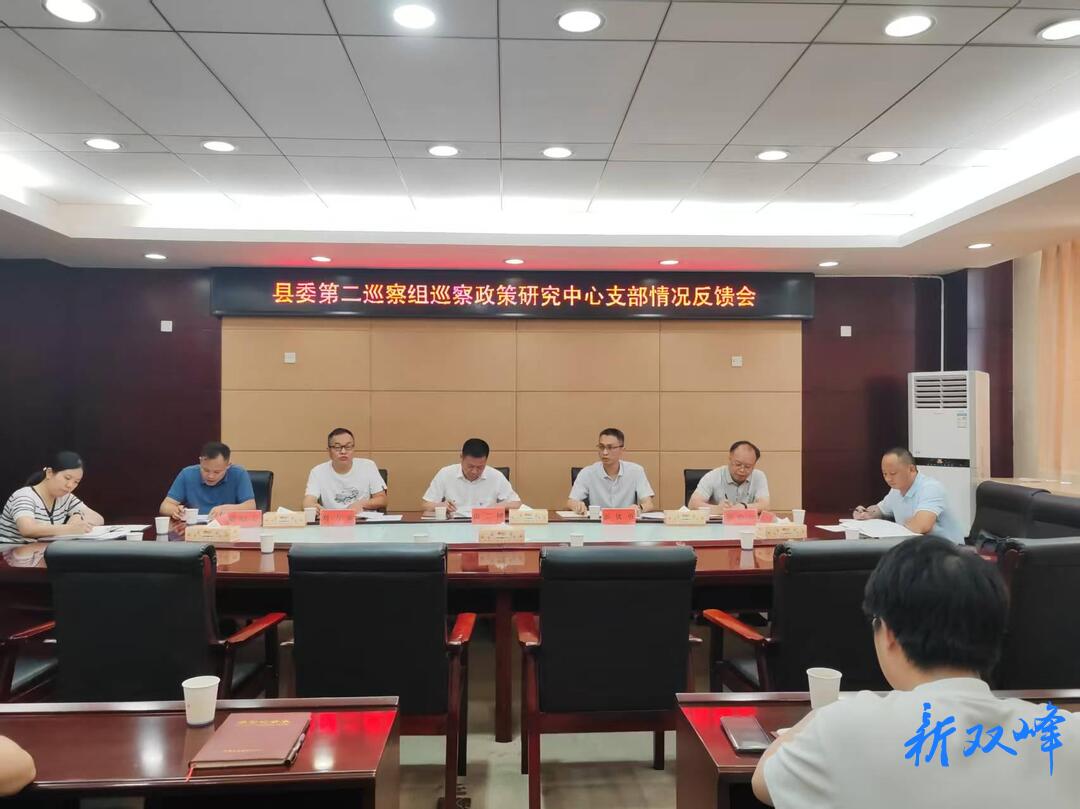 县委第二巡察组向县政策研究中心支部反馈巡察情况