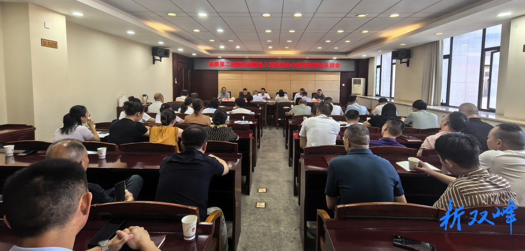 县委第二巡察组向县人民政府办公室党组反馈巡察情况