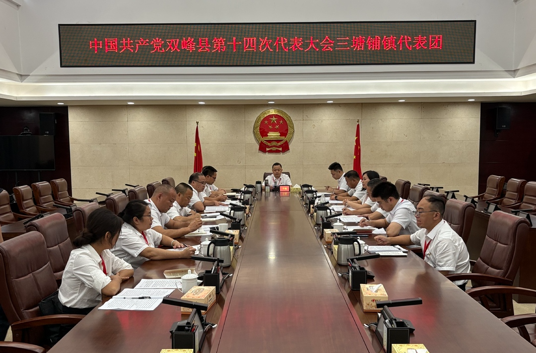 聚焦党代会丨李巍参加三塘铺镇代表团审议：锚定目标抓落实 汇聚合力谱新篇