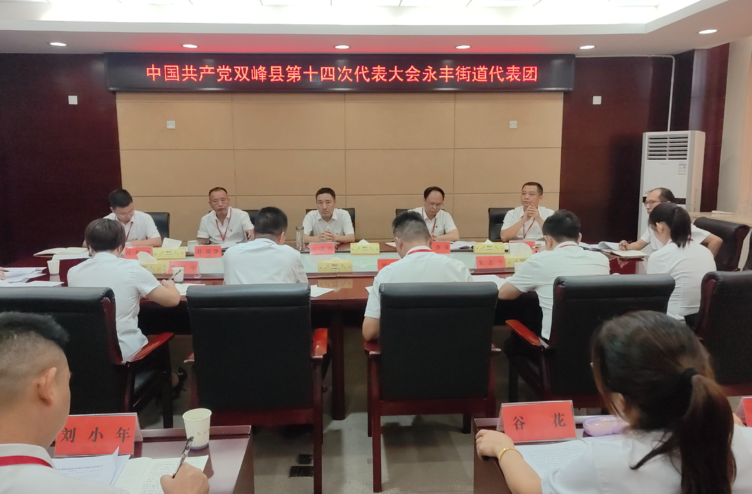 聚焦党代会丨王文红参加永丰街道代表团审议：聚焦“十五五”开局 奋力推动双峰高质量发展