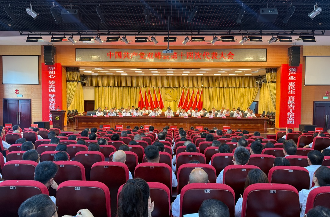聚焦党代会丨双峰县第十四次党代会举行第二次全体会议