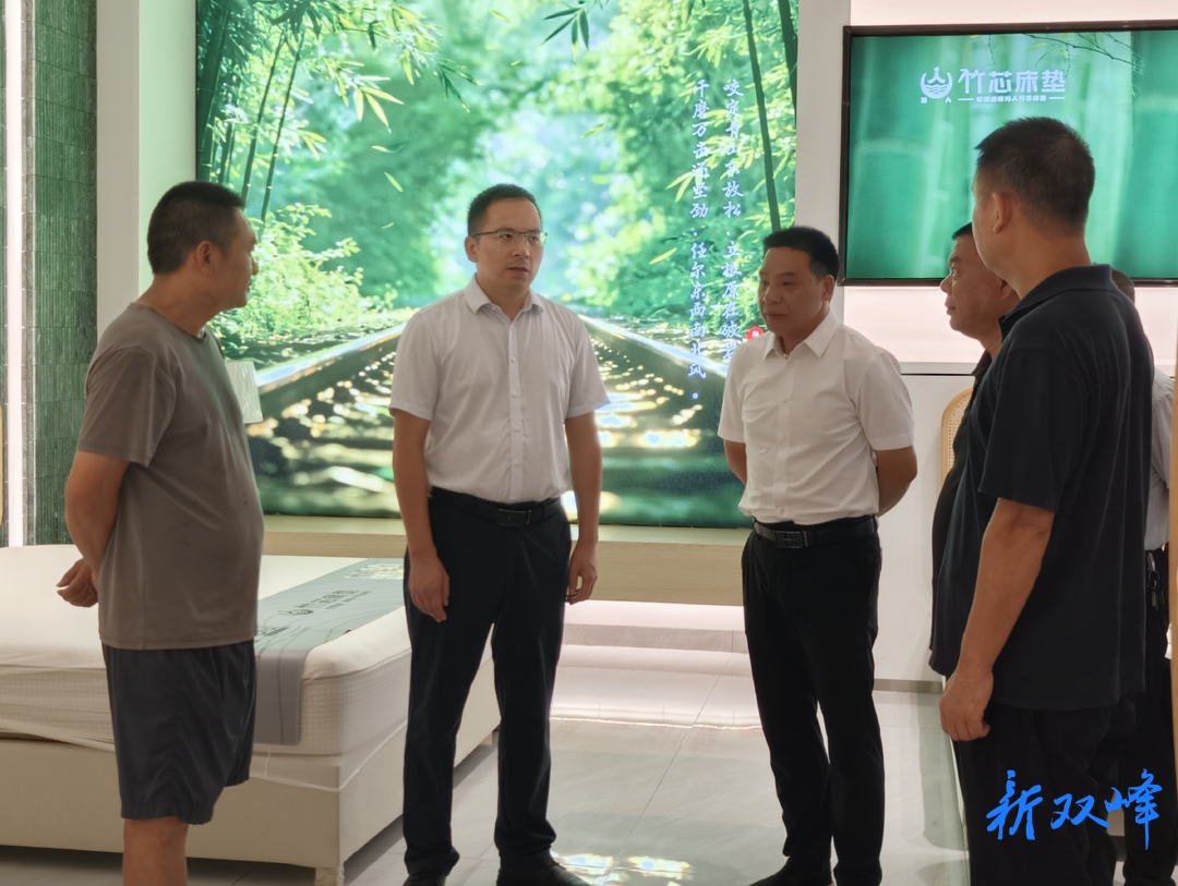 陈善干调研竹产业链发展