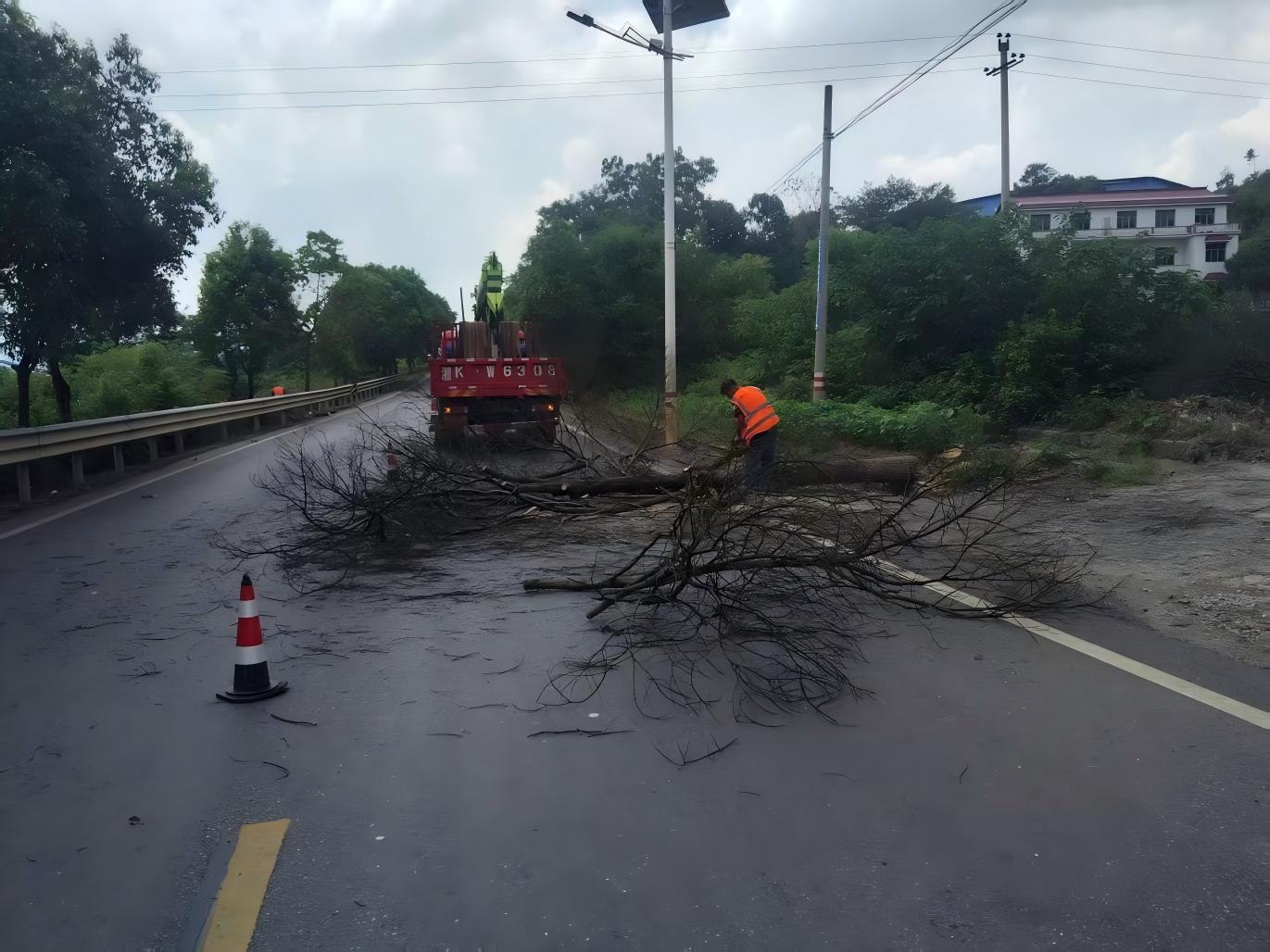 双峰县公路建设养护中心集中清理枯死行道树 筑牢国省干线通行安全屏障