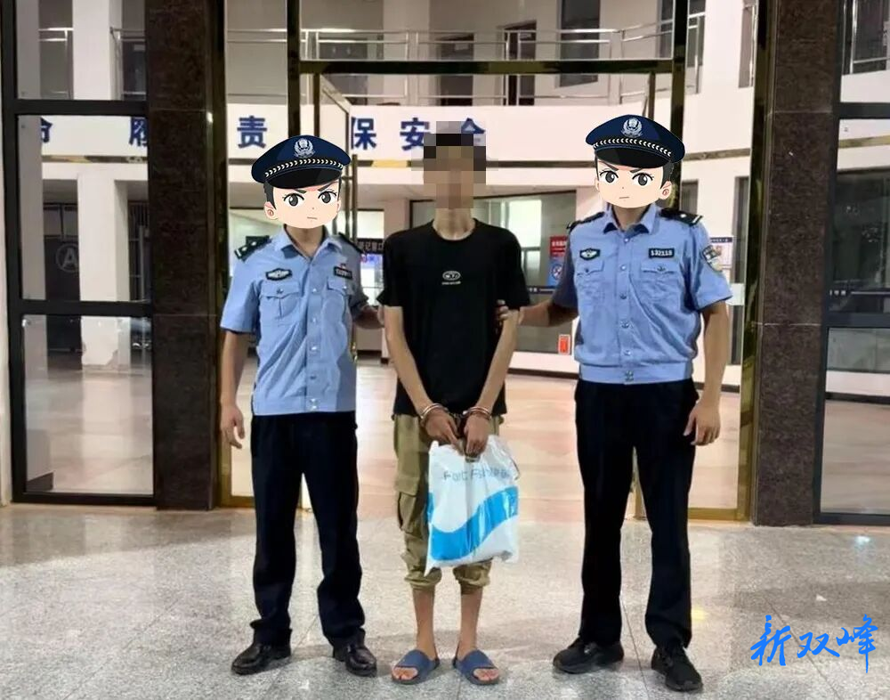 【夏打行动】2小时速擒惯犯！花门派出所快速破获“拉车门”盗窃案