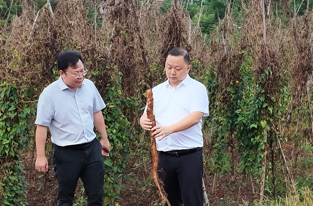 李巍到青树坪镇调研产业发展和安全生产工作