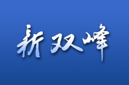 双峰县第十四次党代会报告解读（四）
