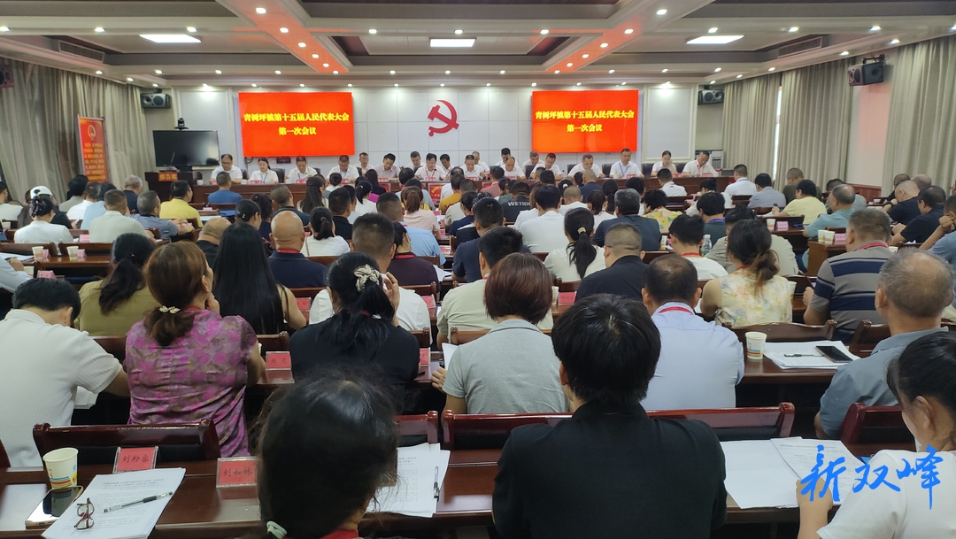 青树坪镇第十五届人民代表大会第一次会议召开