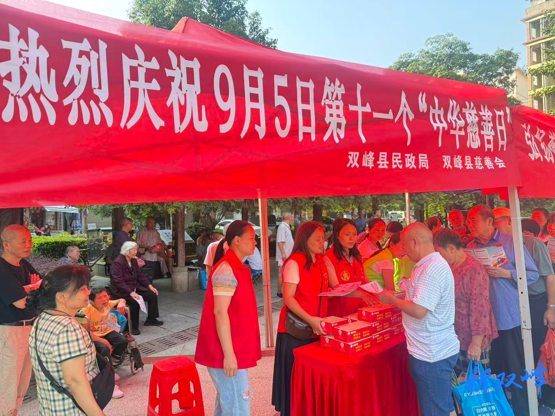 弘扬慈善文化 践行慈善惠民——双峰县开展中华慈善日主题宣传活动