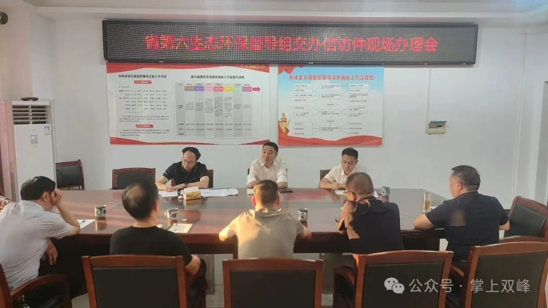 王文红到锁石镇督办环保督察重点信访件
