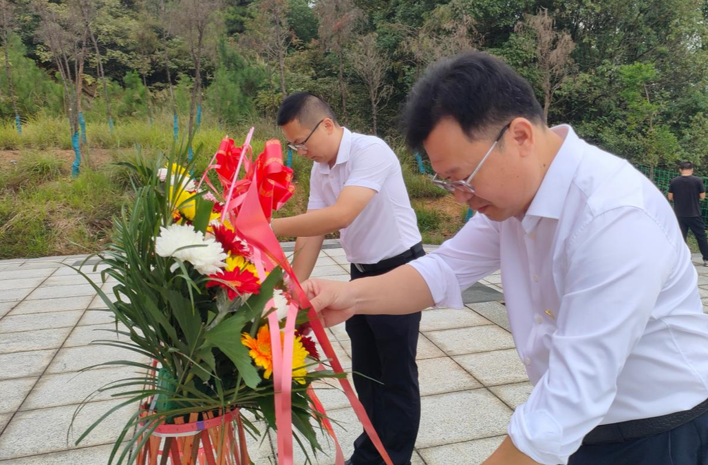缅怀革命先烈 赓续红色血脉 ——双峰县青树坪镇举行烈士纪念日公祭活动
