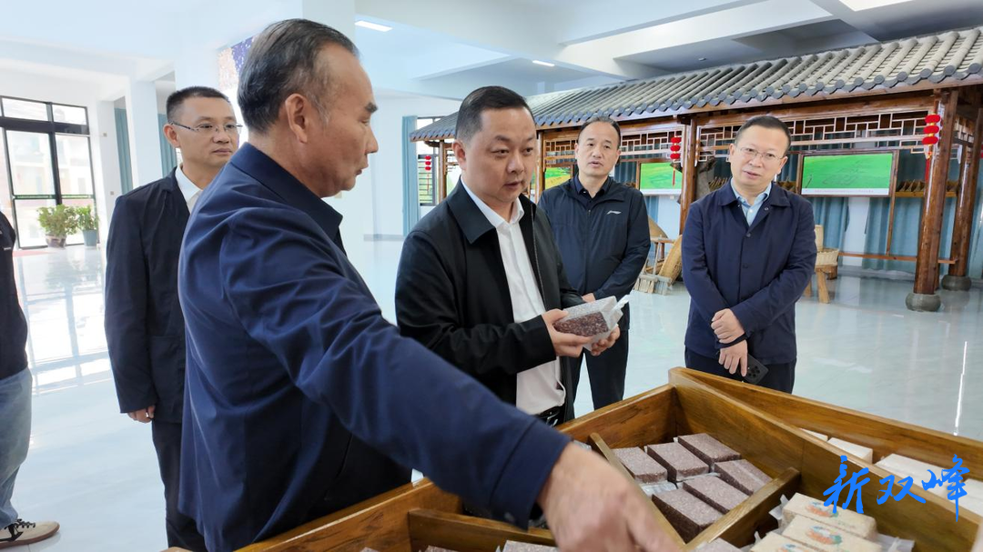 李巍到杏子铺镇、永丰街道开展专题调研和督导