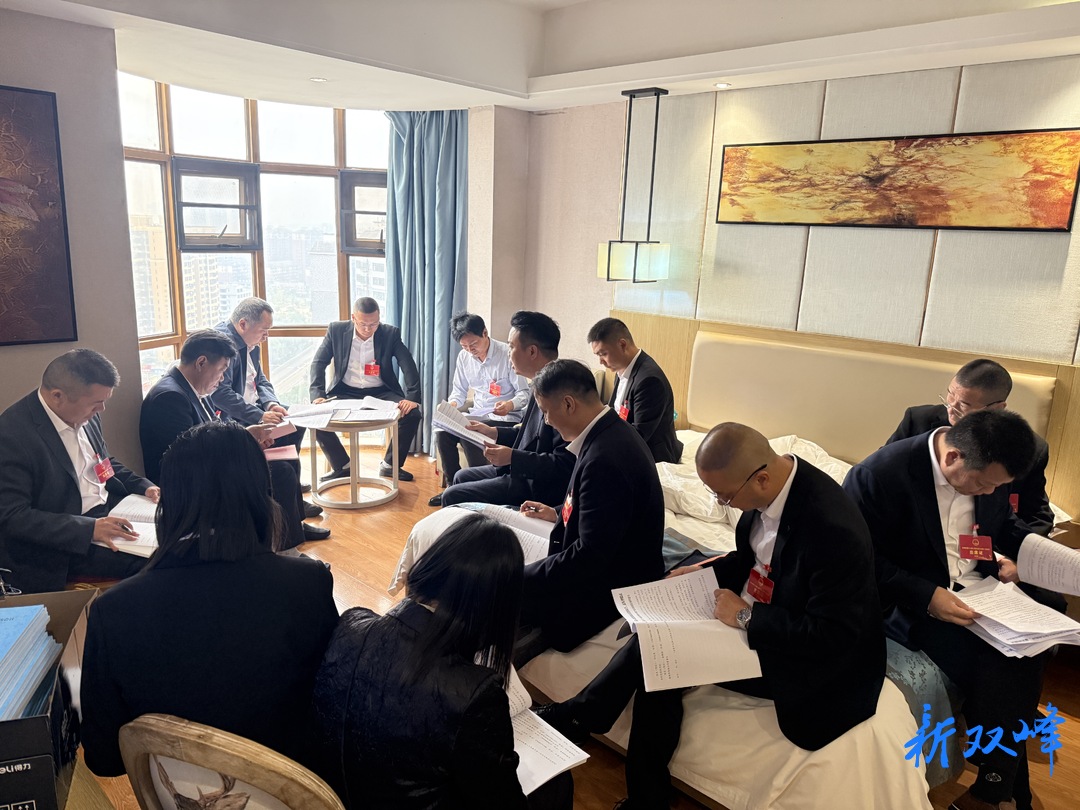聚焦两会丨肩负重托赴盛会 履职尽责谱新篇——出席双峰县第十九届人民代表大会第一次会议的人大代表今日报到