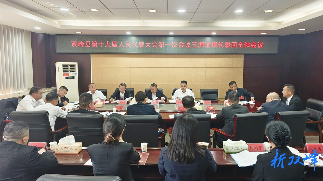 聚焦两会 | 参加双峰县第十九届人民代表大会第一次会议 的代表进行分团讨论