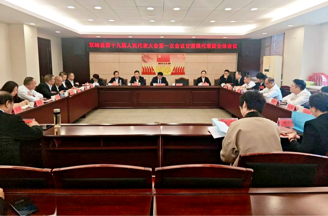聚焦两会 | 人大代表分团审议县人大常委会及“两院”工作报告