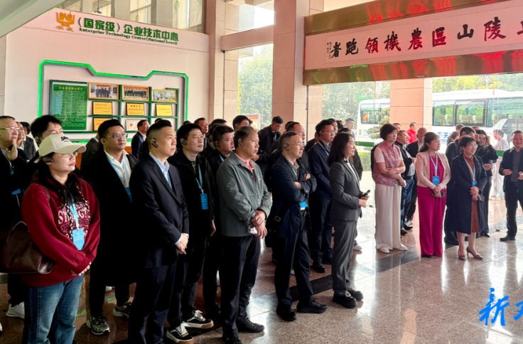 广东省湖南商会代表团来双峰考察交流