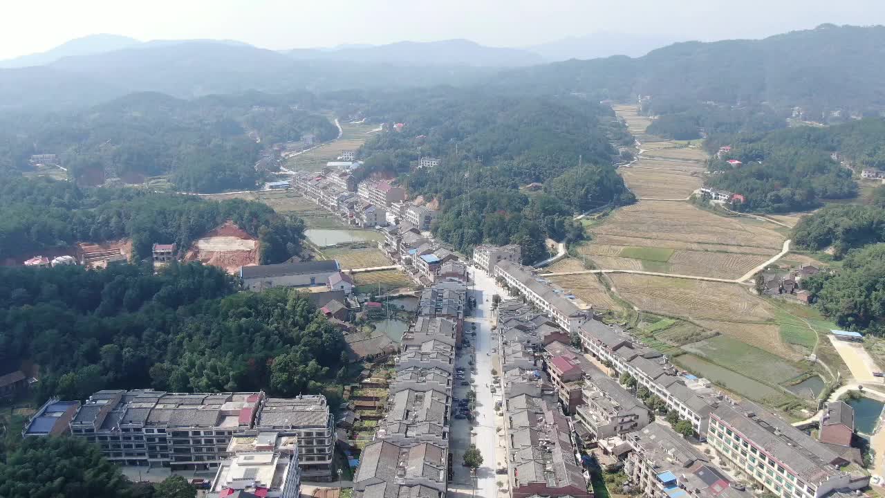 3月11日（今天）17:00直播：双峰人民广播电台“家乡好货，我来代言”——荷叶镇金凤村土特产