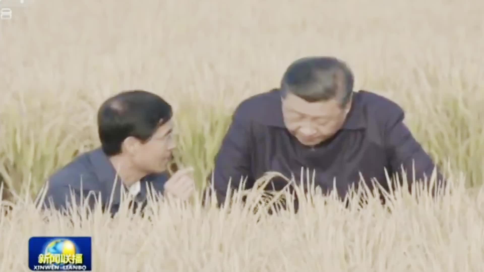 微视频：双峰农机