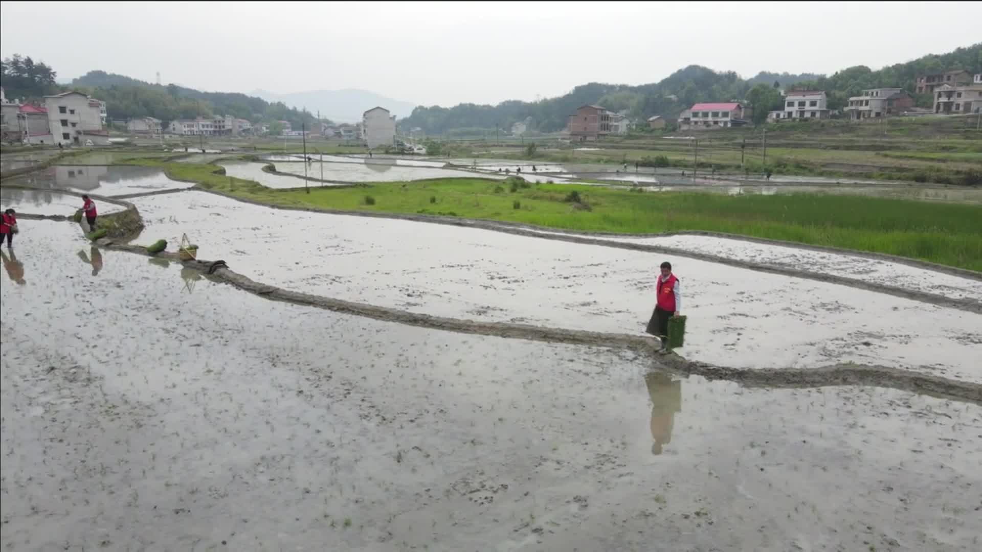 湖南日报点赞“和森红”志愿者