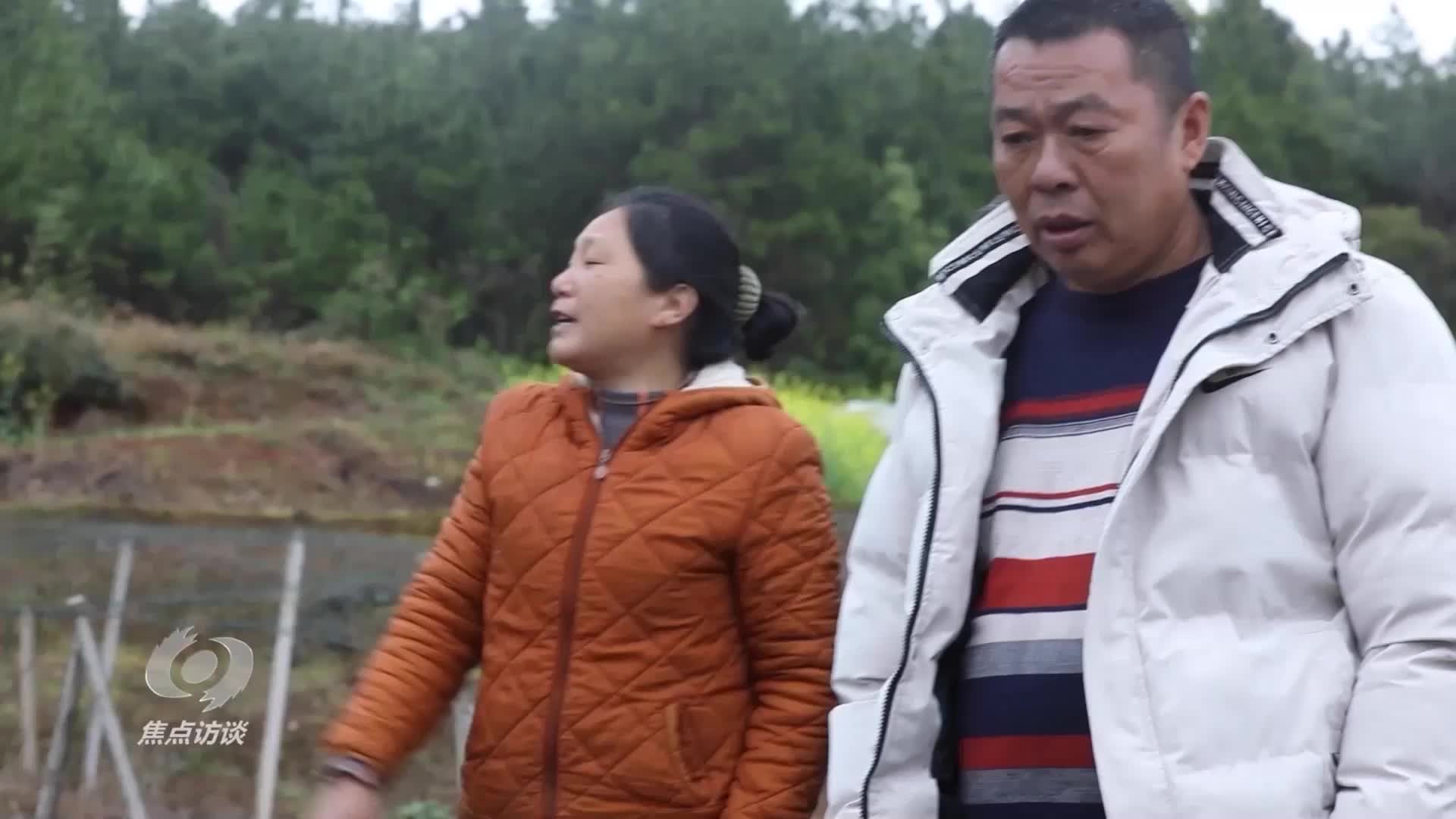 《普利桥种粮记》春耕篇 第04集 我唐满娥有话要说