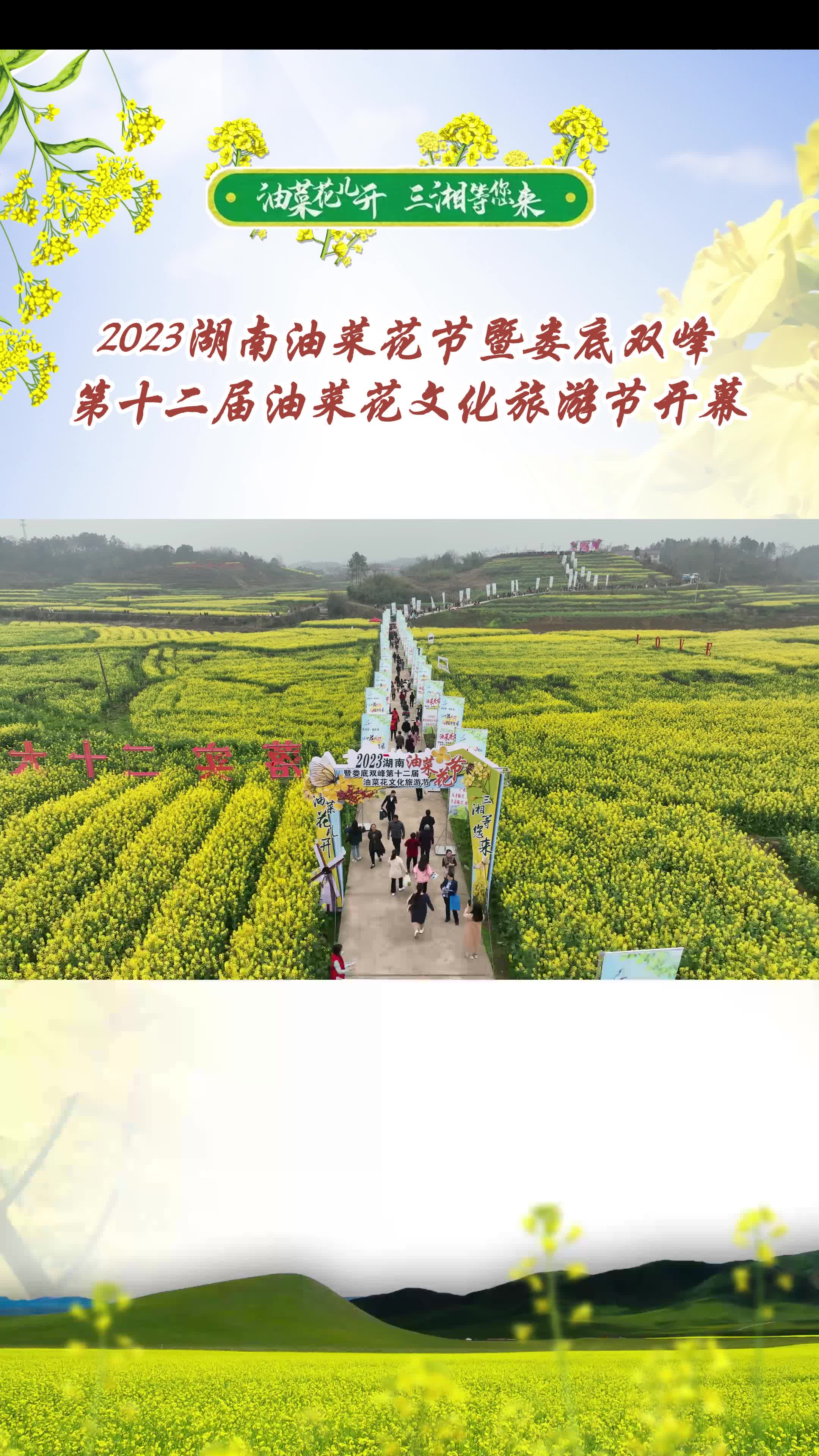 2023湖南油菜花节暨娄底双峰第十二届油菜花文化旅游节开幕